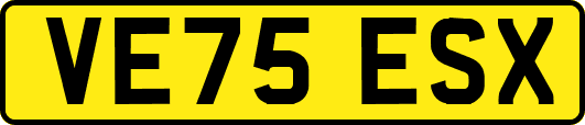 VE75ESX