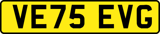 VE75EVG