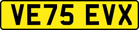 VE75EVX