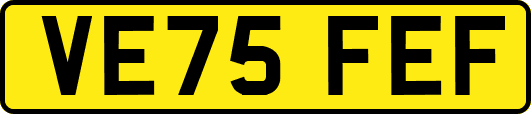 VE75FEF