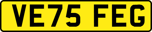 VE75FEG