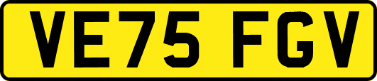 VE75FGV