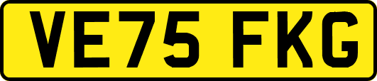 VE75FKG