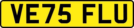 VE75FLU
