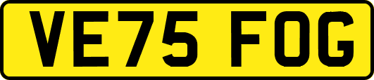 VE75FOG