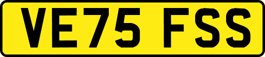 VE75FSS