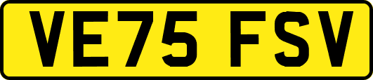 VE75FSV