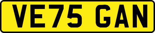 VE75GAN