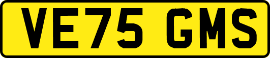 VE75GMS