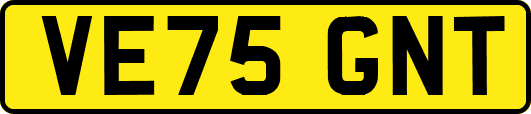 VE75GNT