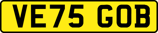 VE75GOB