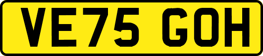 VE75GOH