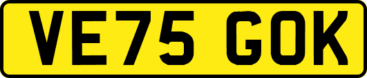 VE75GOK