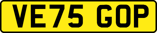 VE75GOP