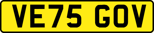 VE75GOV