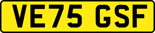 VE75GSF