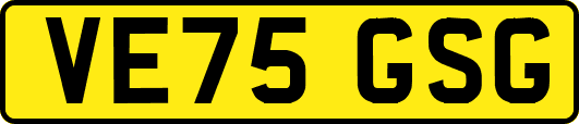VE75GSG