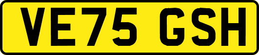 VE75GSH