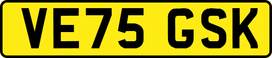 VE75GSK