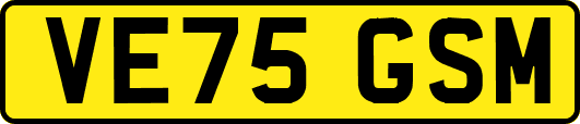 VE75GSM