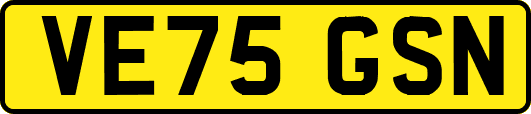 VE75GSN