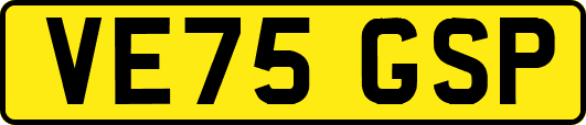 VE75GSP