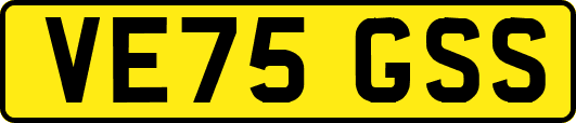 VE75GSS