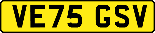 VE75GSV