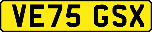 VE75GSX