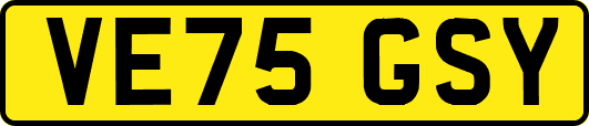 VE75GSY