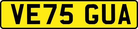 VE75GUA