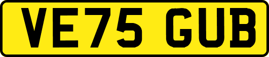 VE75GUB