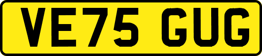VE75GUG