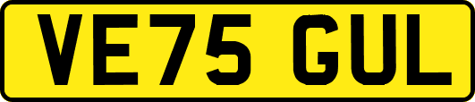 VE75GUL