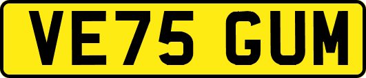 VE75GUM