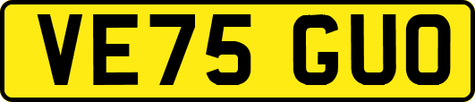 VE75GUO