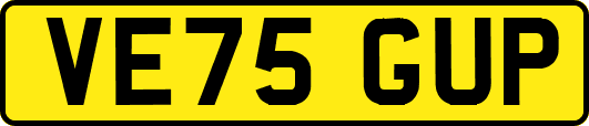 VE75GUP