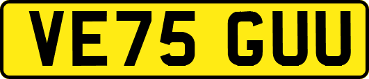 VE75GUU