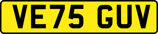 VE75GUV