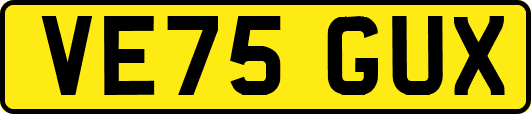 VE75GUX