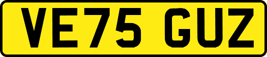 VE75GUZ