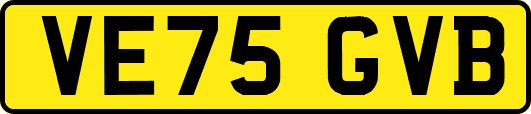 VE75GVB