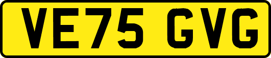 VE75GVG