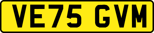 VE75GVM