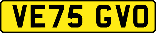 VE75GVO