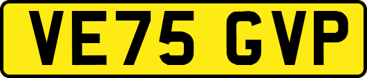 VE75GVP
