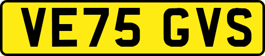 VE75GVS