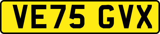 VE75GVX