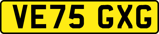 VE75GXG