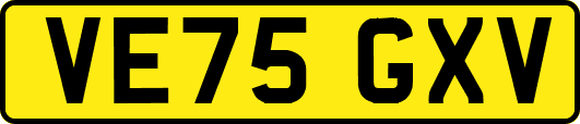 VE75GXV